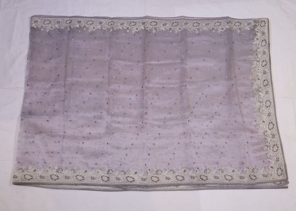 Tissue Organza Saree with Cutwork