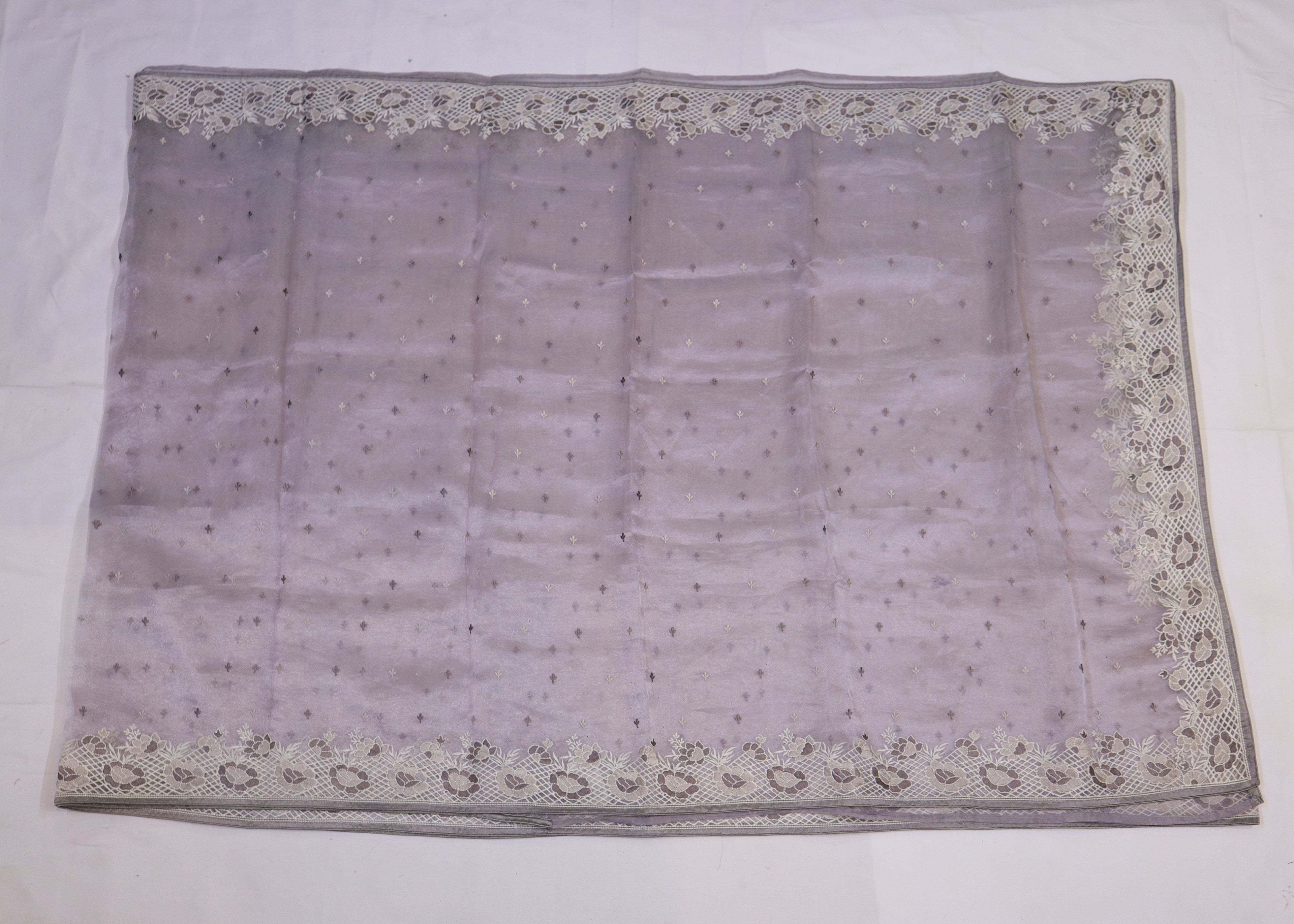 Tissue Organza Saree with Cutwork