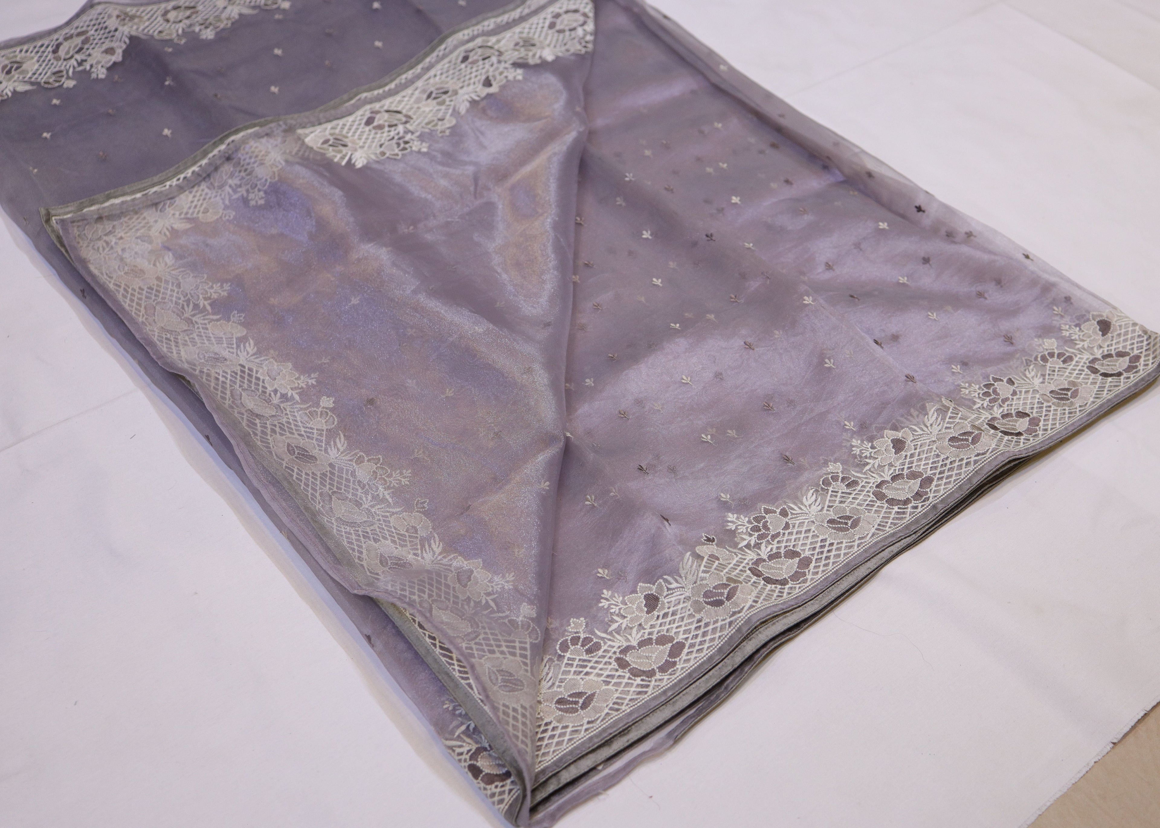 Tissue Organza Saree with Cutwork