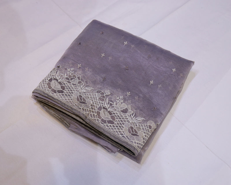Tissue Organza Saree with Cutwork