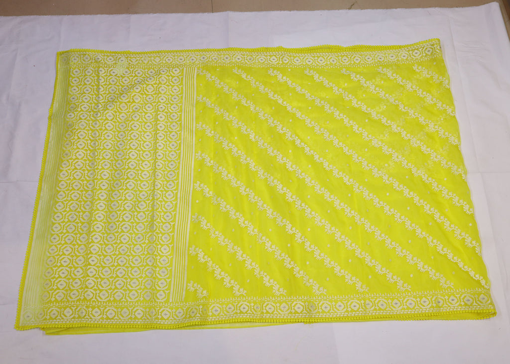 Organza Saree with Thread Embroidery