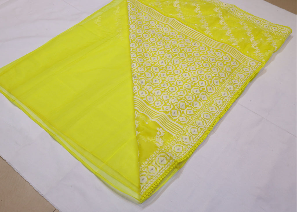 Organza Saree with Thread Embroidery