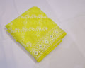 Organza Saree with Thread Embroidery