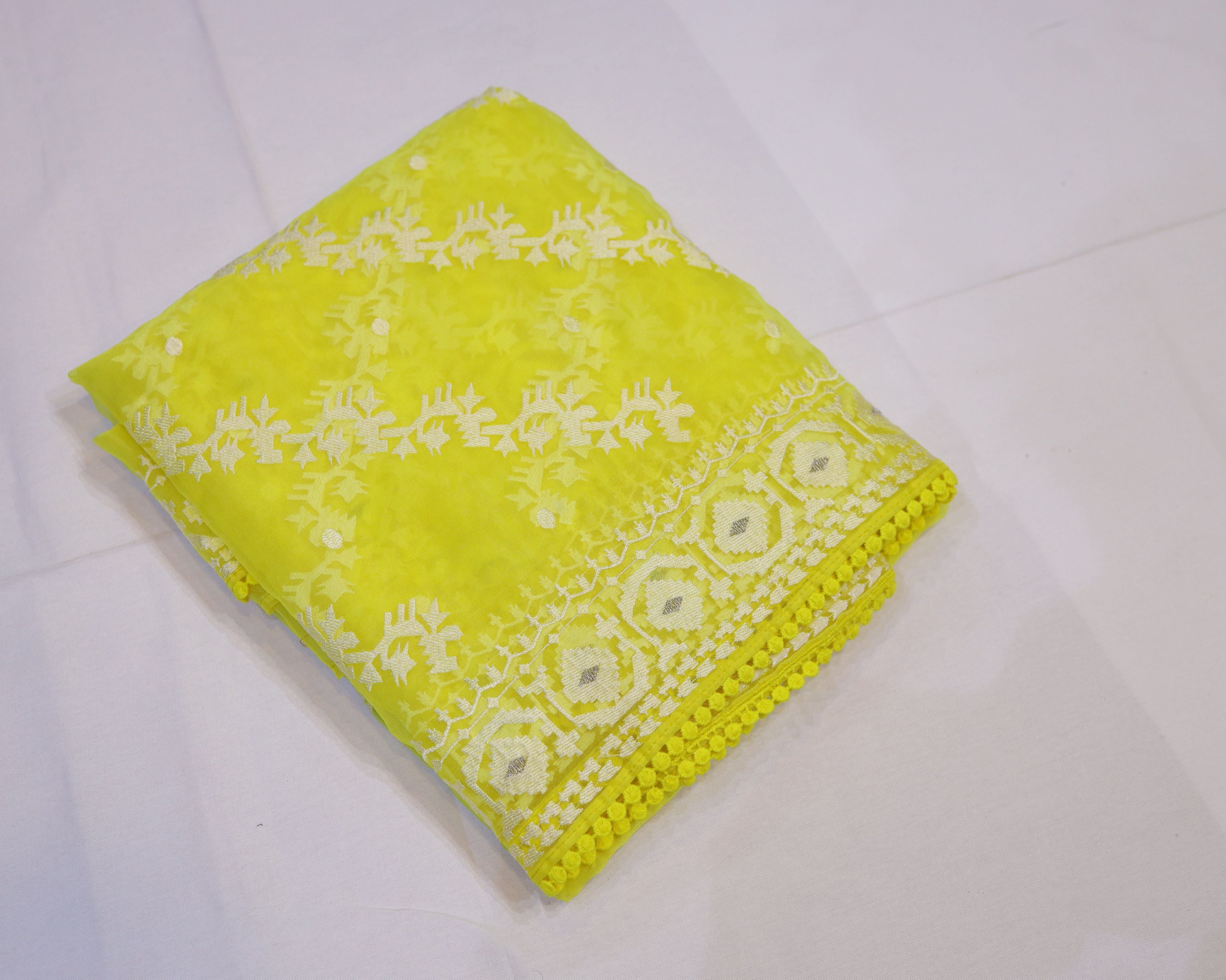 Organza Saree with Thread Embroidery