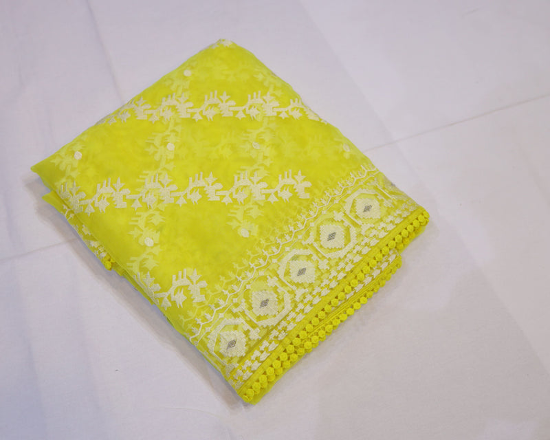 Organza Saree with Thread Embroidery