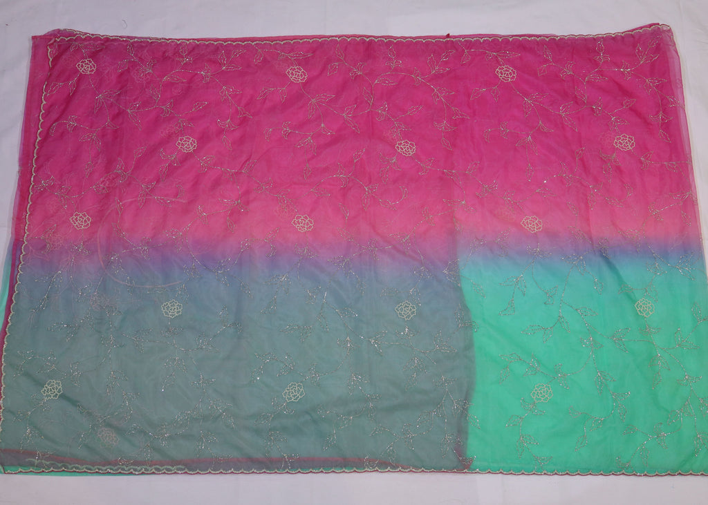 Organza Saree with Double Shade and Detailed Handwork