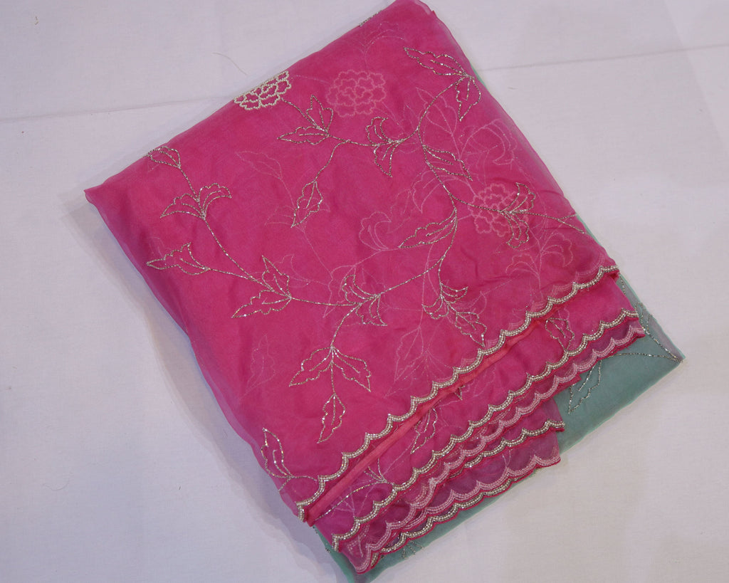 Organza Saree with Double Shade and Detailed Handwork