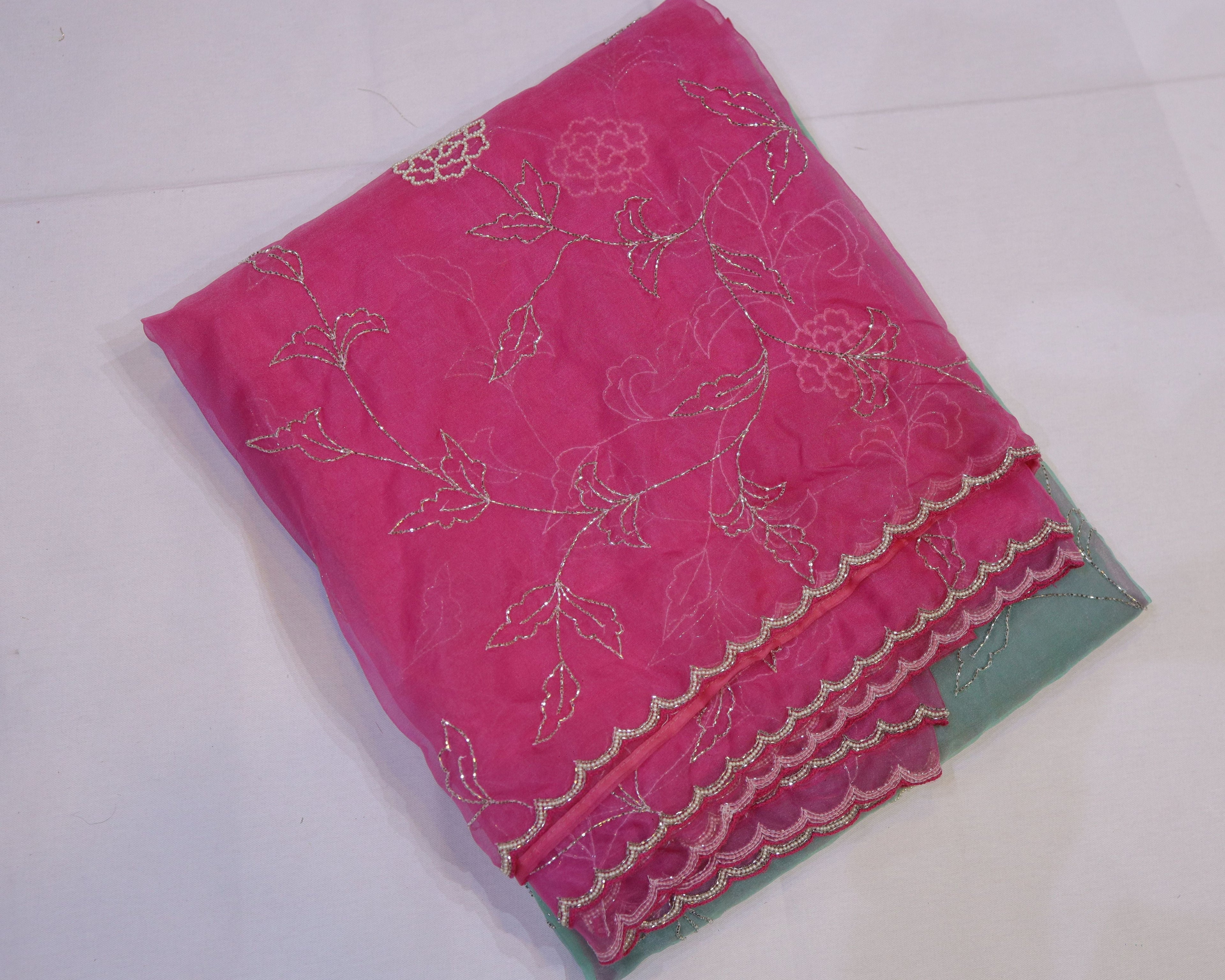 Organza Saree with Double Shade and Detailed Handwork