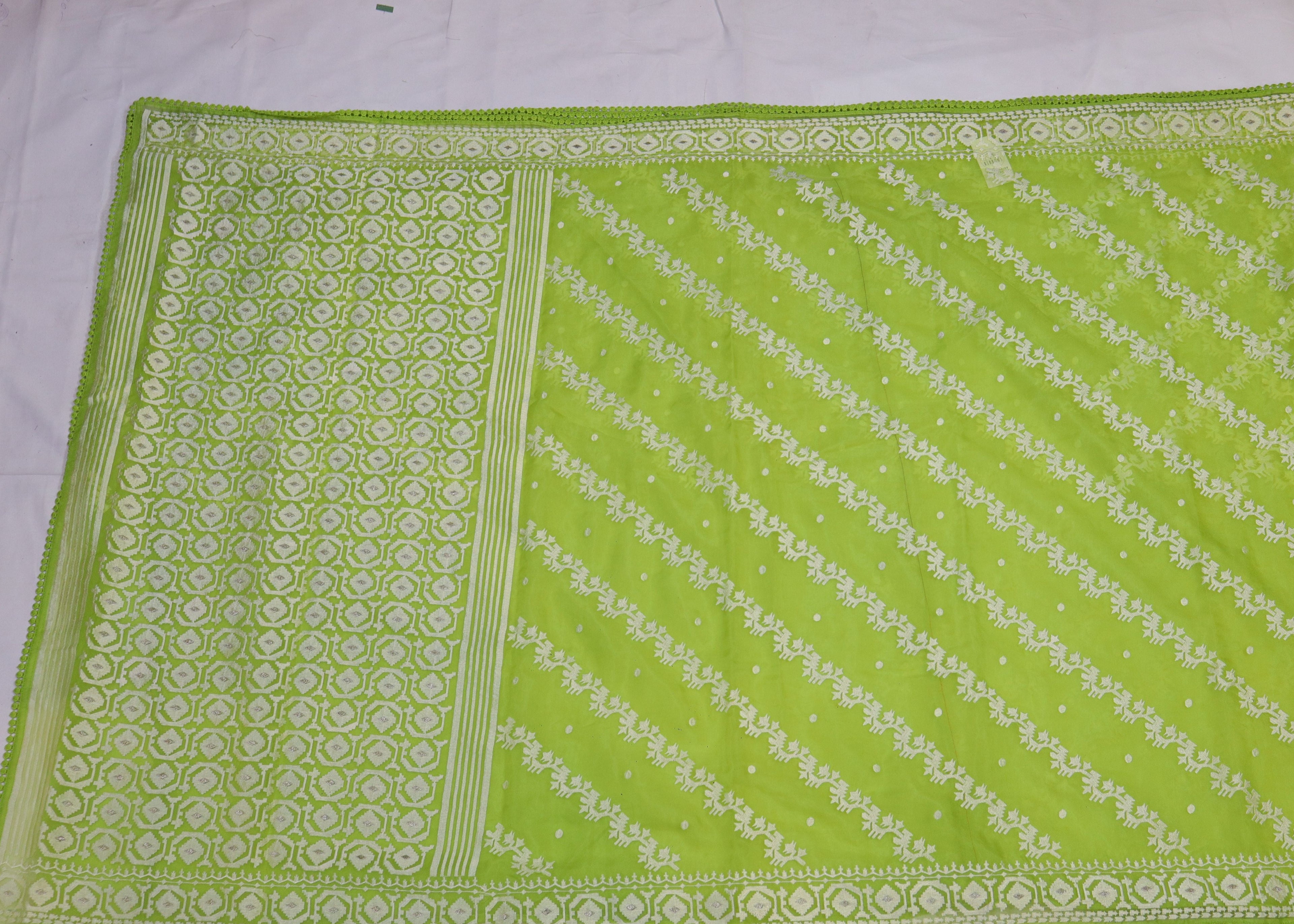 Organza Saree with Thread Embroidery
