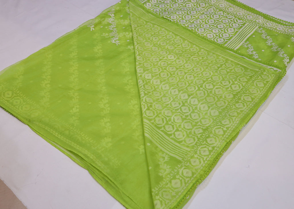 Organza Saree with Thread Embroidery