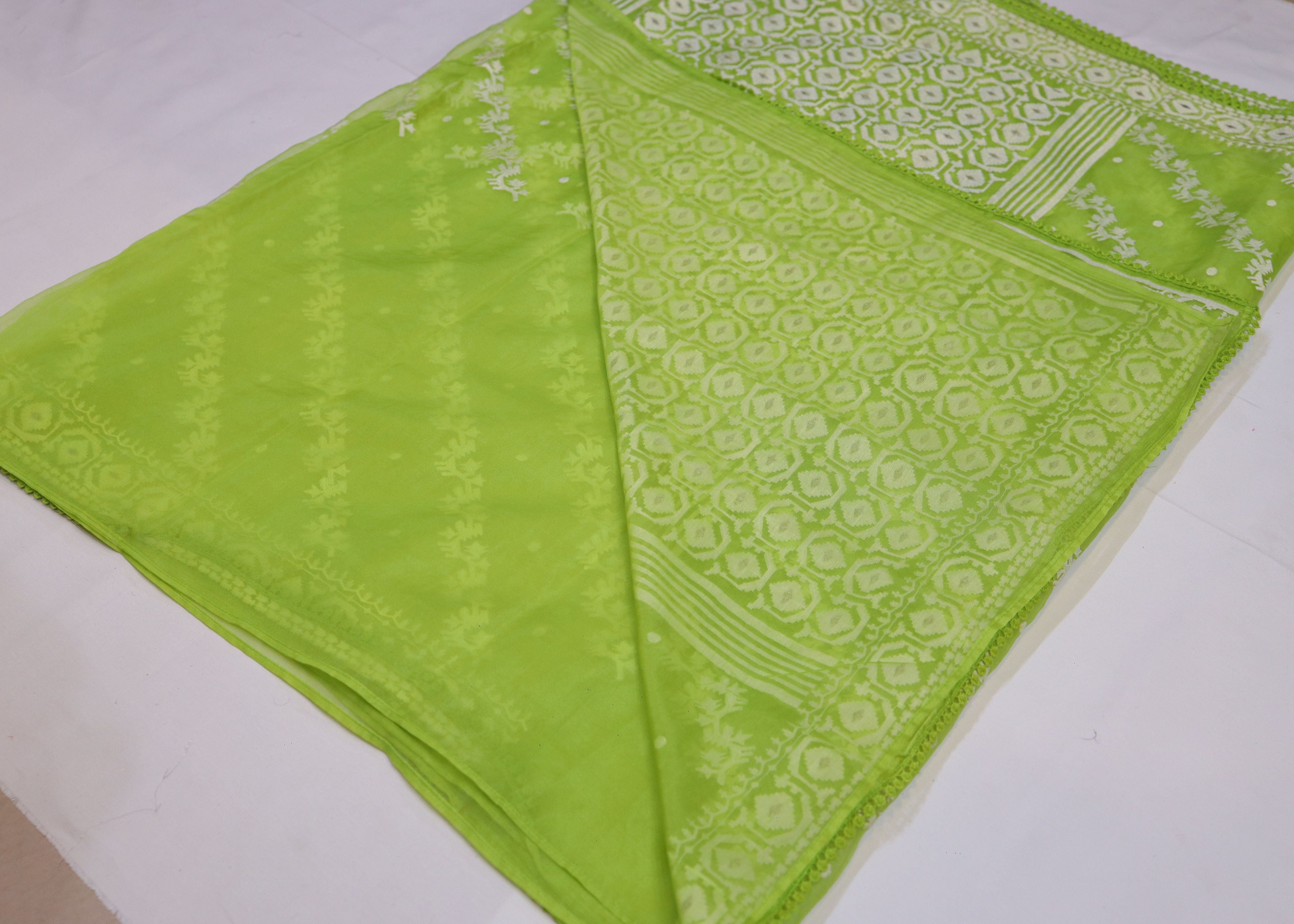 Organza Saree with Thread Embroidery