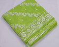 Organza Saree with Thread Embroidery