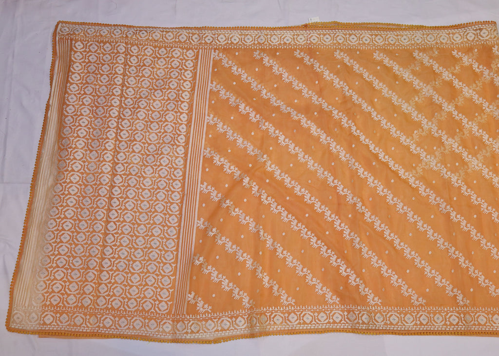 Organza Saree with Thread Embroidery