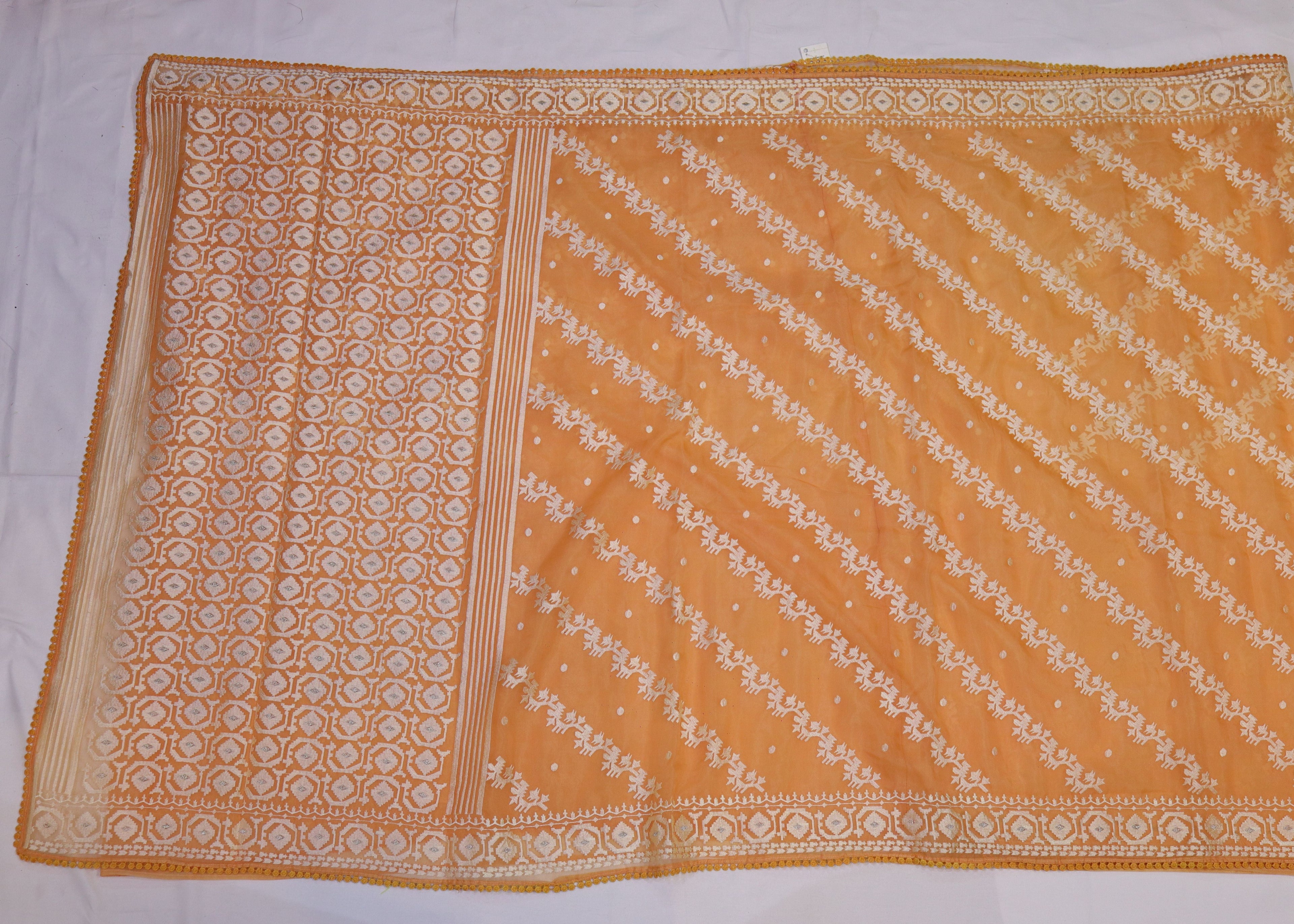 Organza Saree with Thread Embroidery