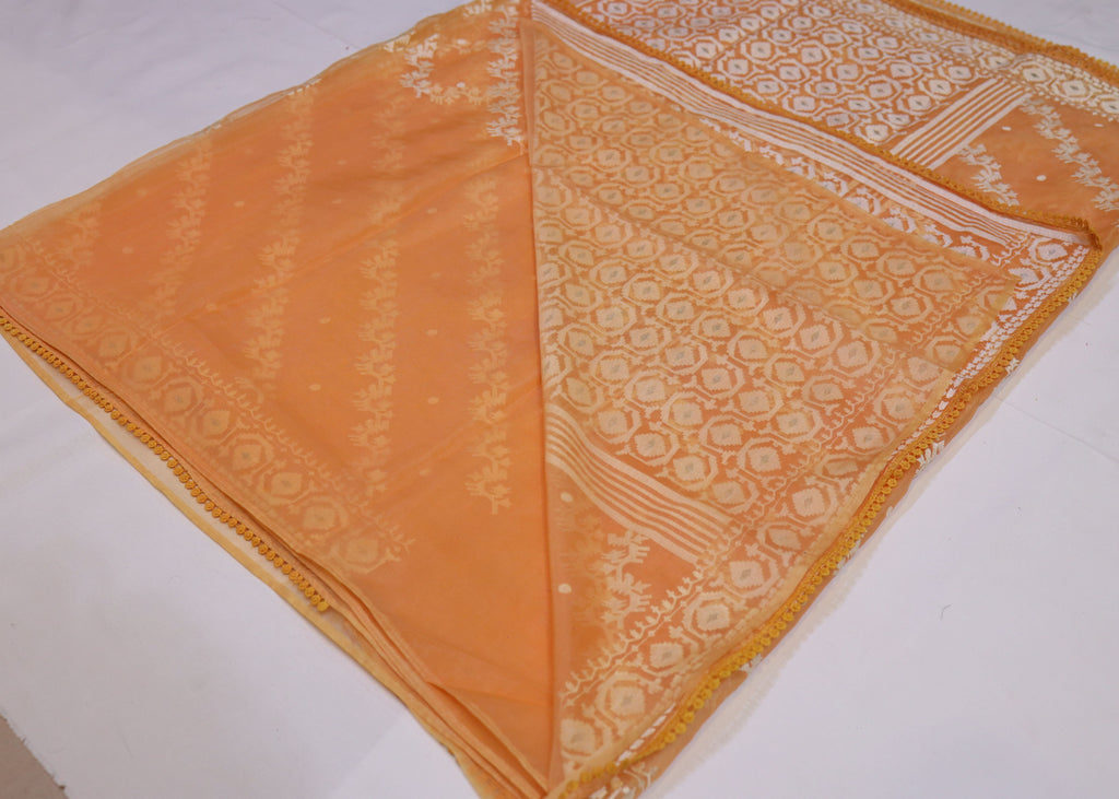 Organza Saree with Thread Embroidery
