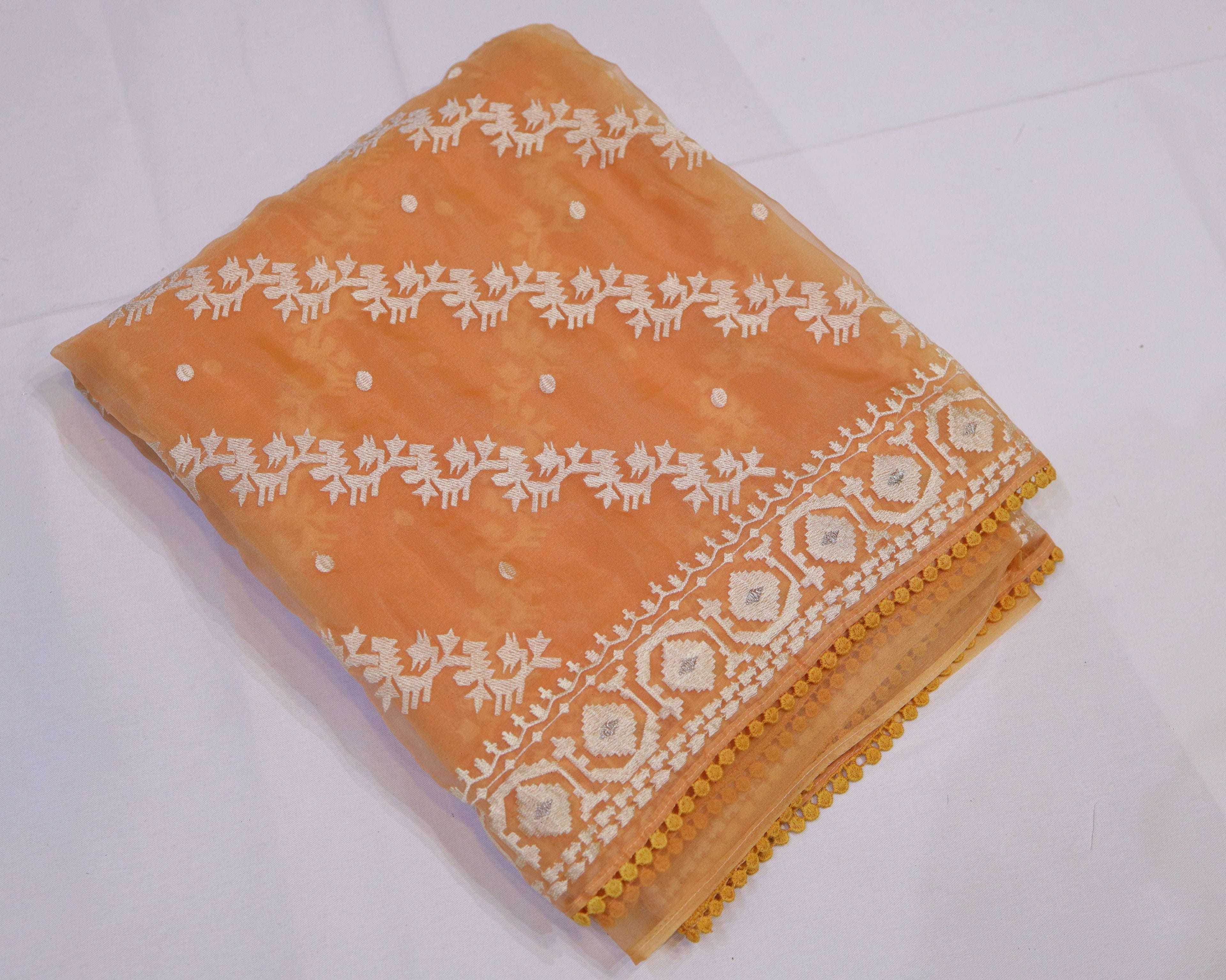 Organza Saree with Thread Embroidery