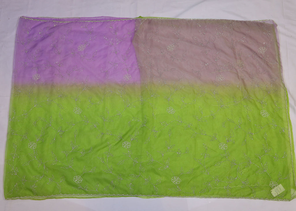 Organza Saree with Double Shade and Detailed Handwork