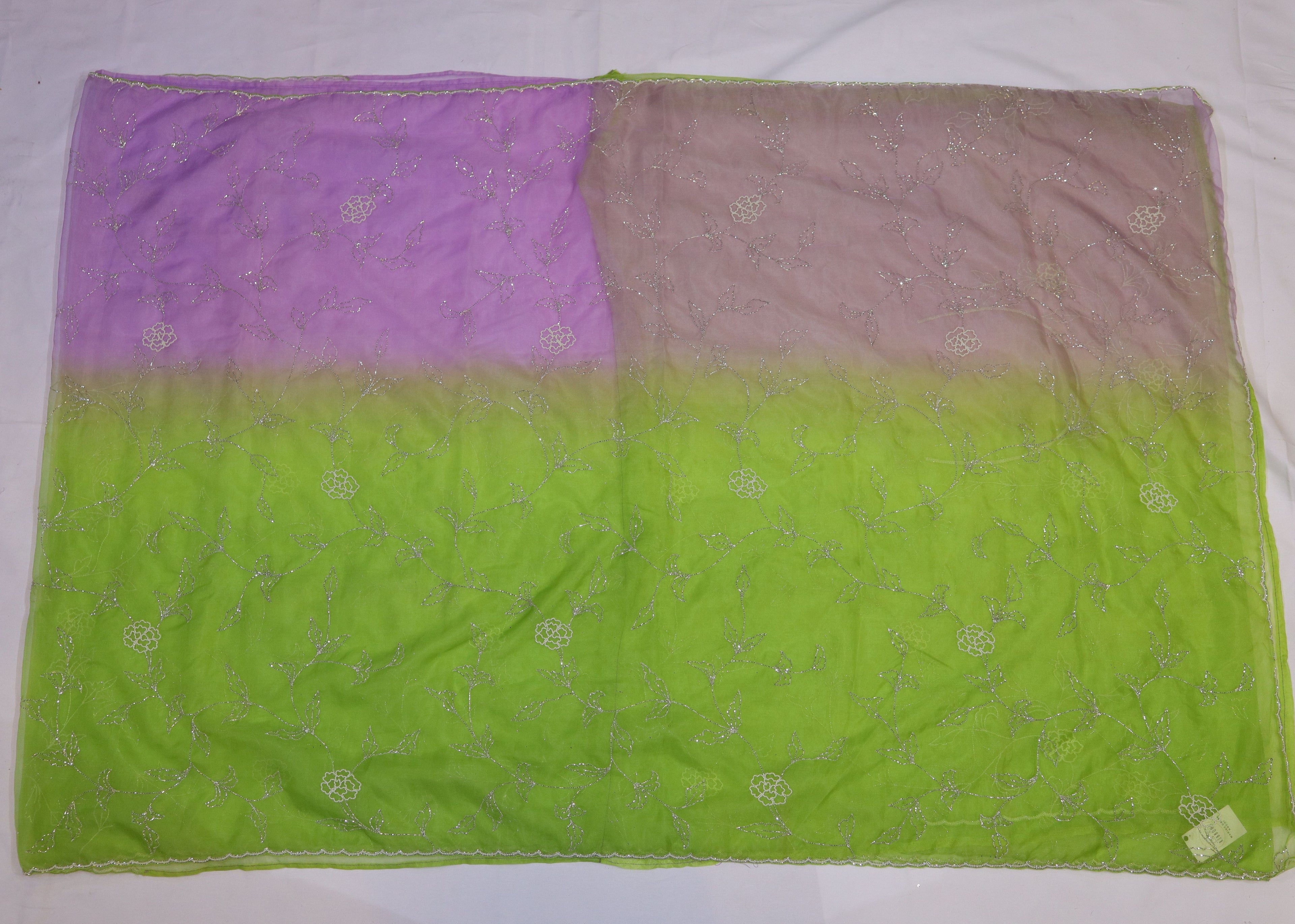 Organza Saree with Double Shade and Detailed Handwork
