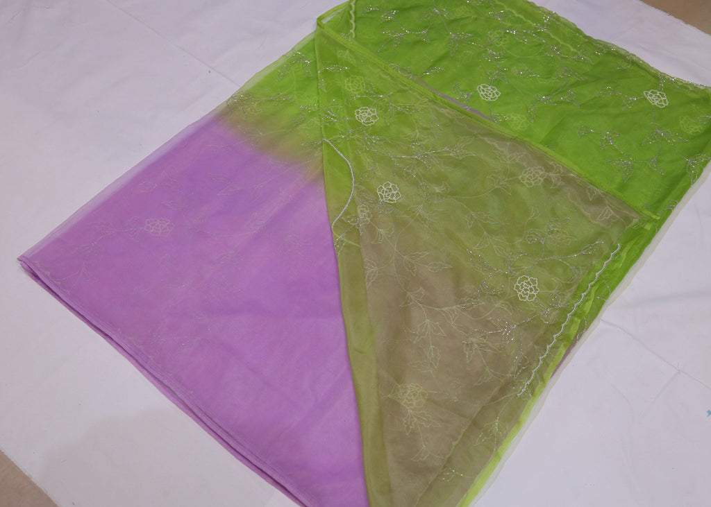 Organza Saree with Double Shade and Detailed Handwork