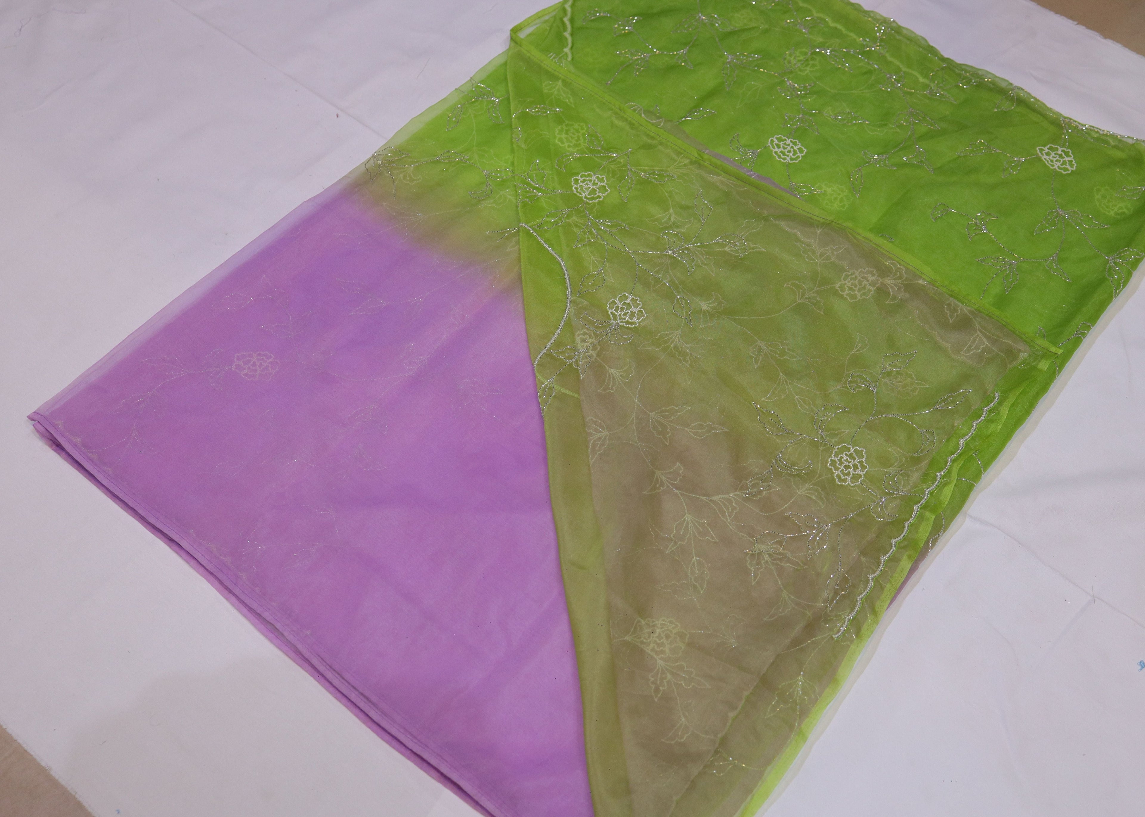 Organza Saree with Double Shade and Detailed Handwork