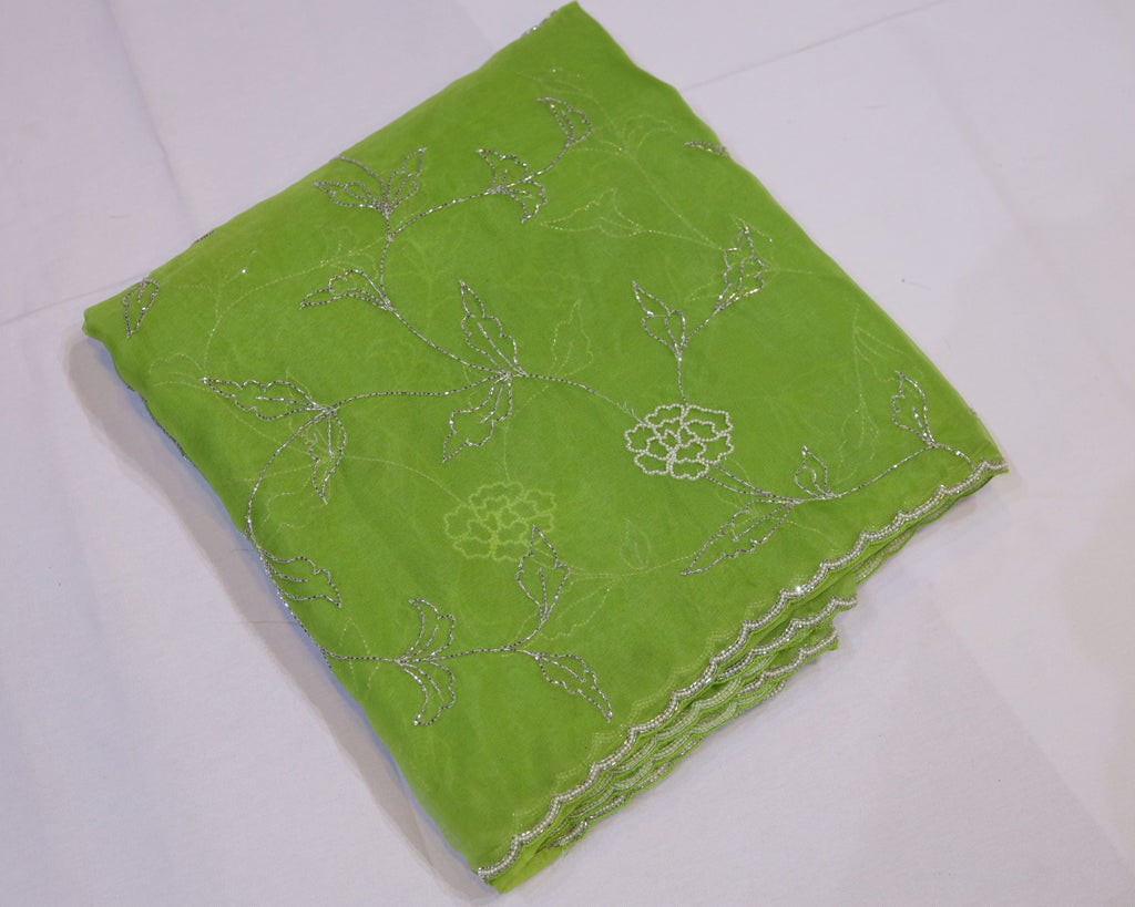Organza Saree with Double Shade and Detailed Handwork