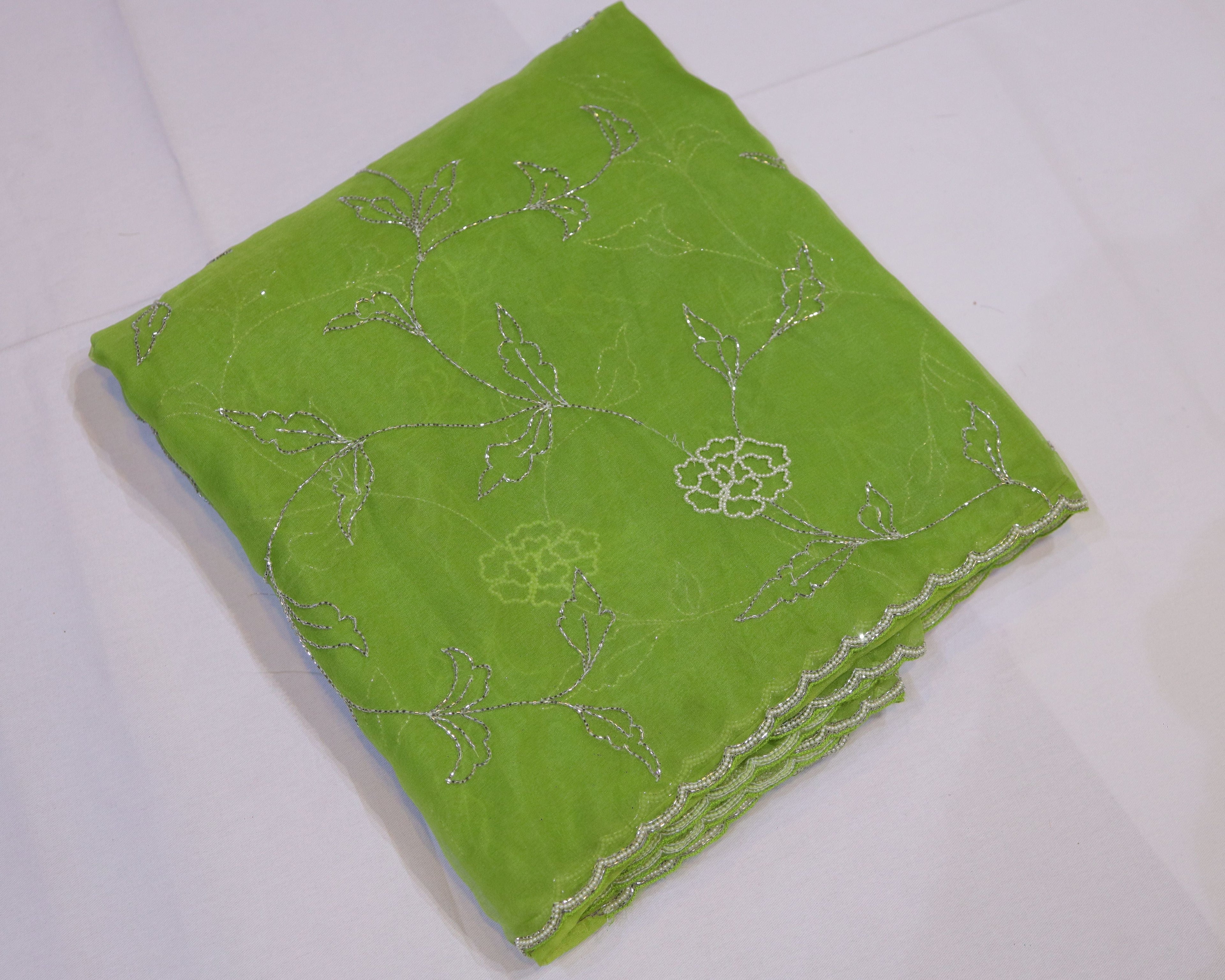 Organza Saree with Double Shade and Detailed Handwork