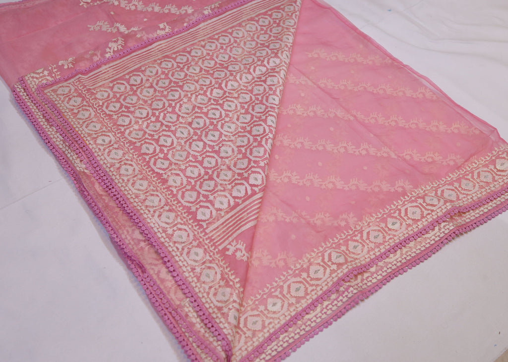 Organza Saree with Thread Embroidery
