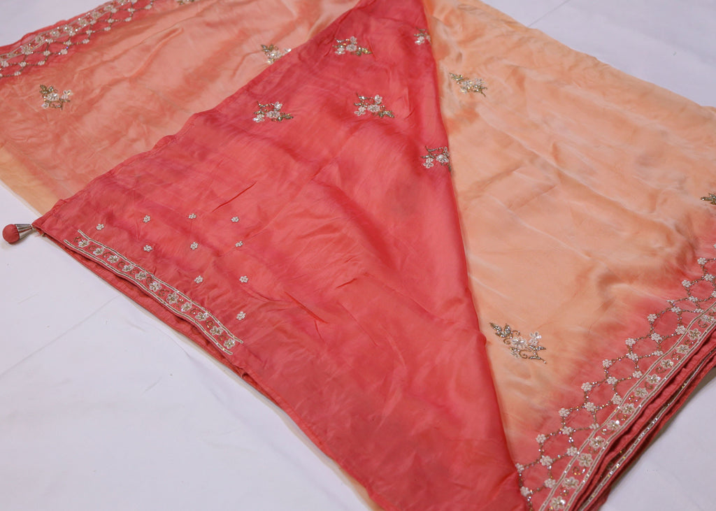 Organza Saree with Double Shade and Detailed Handwork
