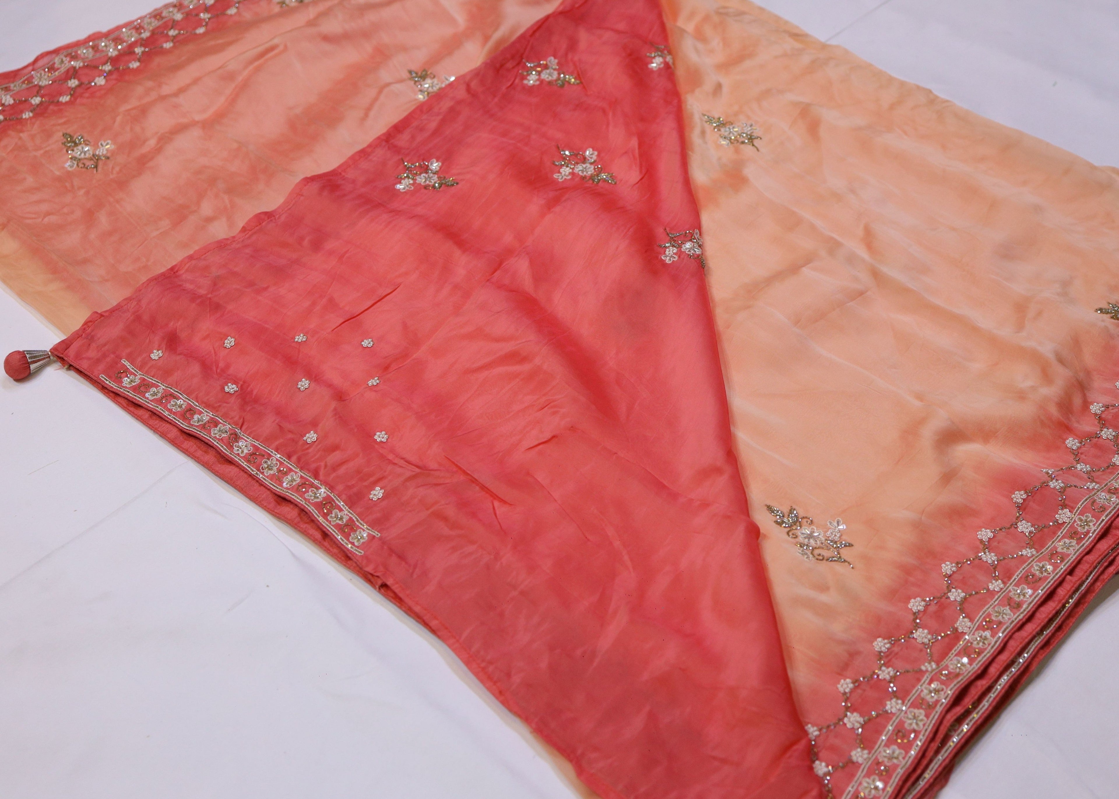 Organza Saree with Double Shade and Detailed Handwork