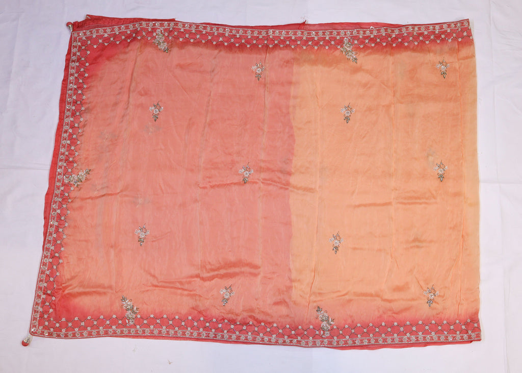 Organza Saree with Double Shade and Detailed Handwork