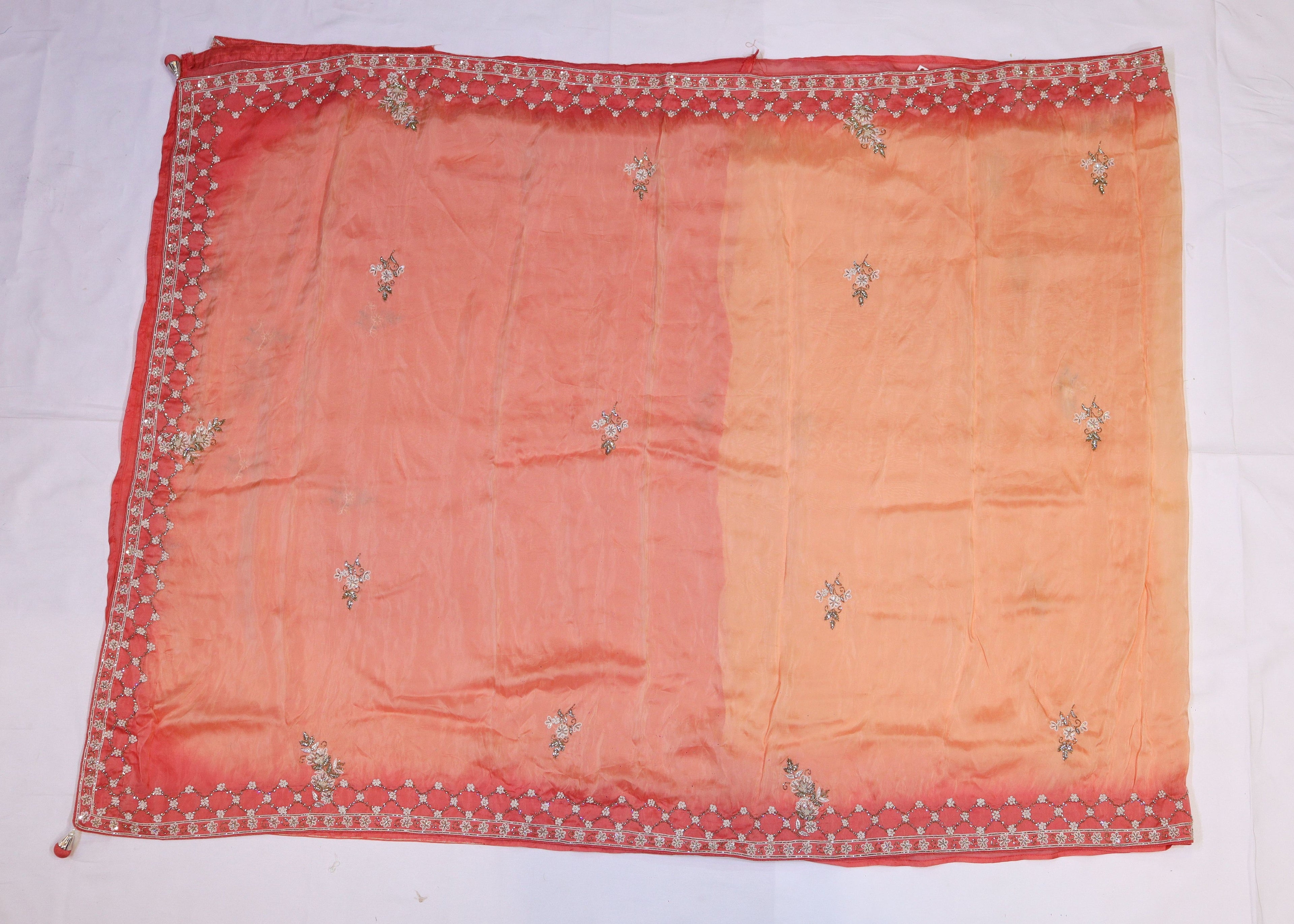 Organza Saree with Double Shade and Detailed Handwork