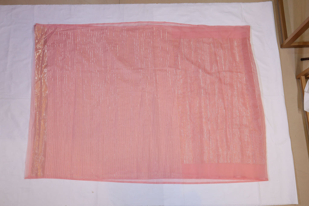 Sheer Organza Saree
