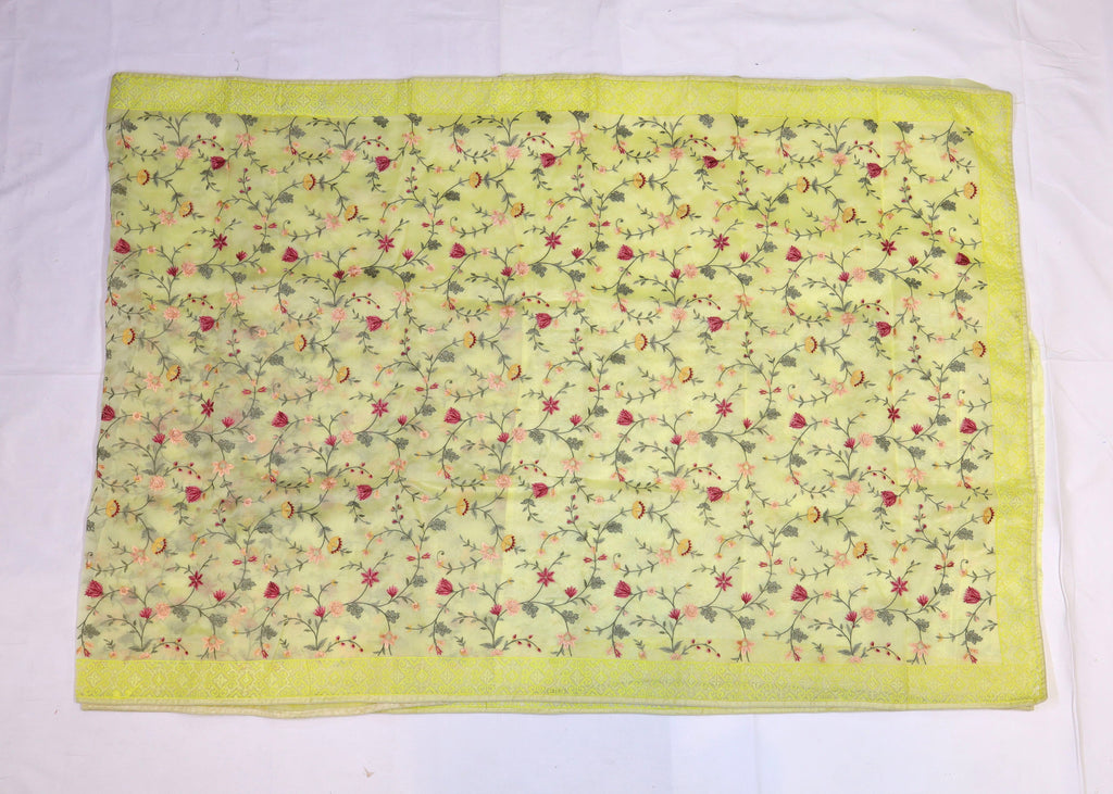 Organza Saree with Thread Embroidery