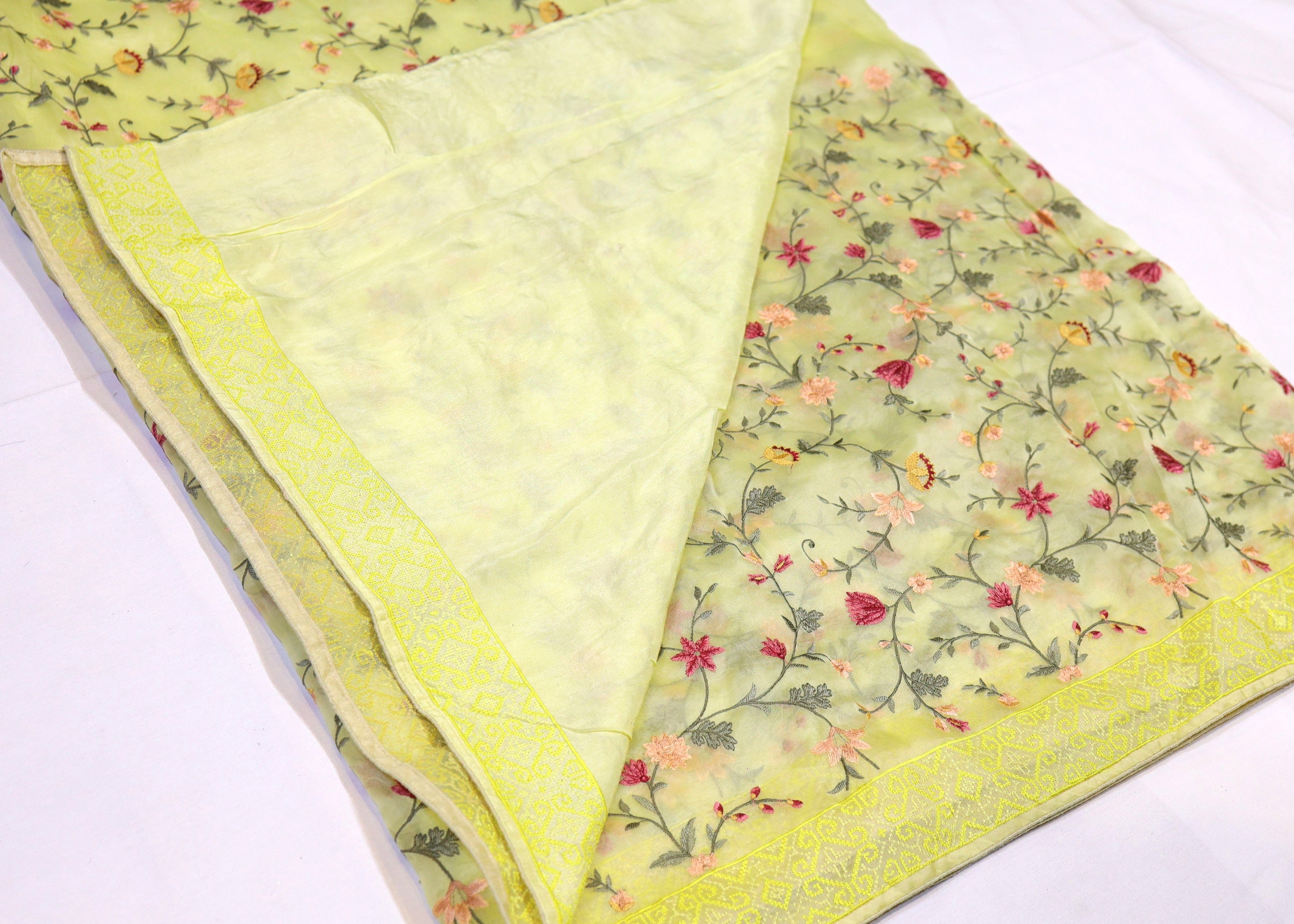 Organza Saree with Thread Embroidery