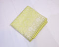 Organza Embroidery Saree