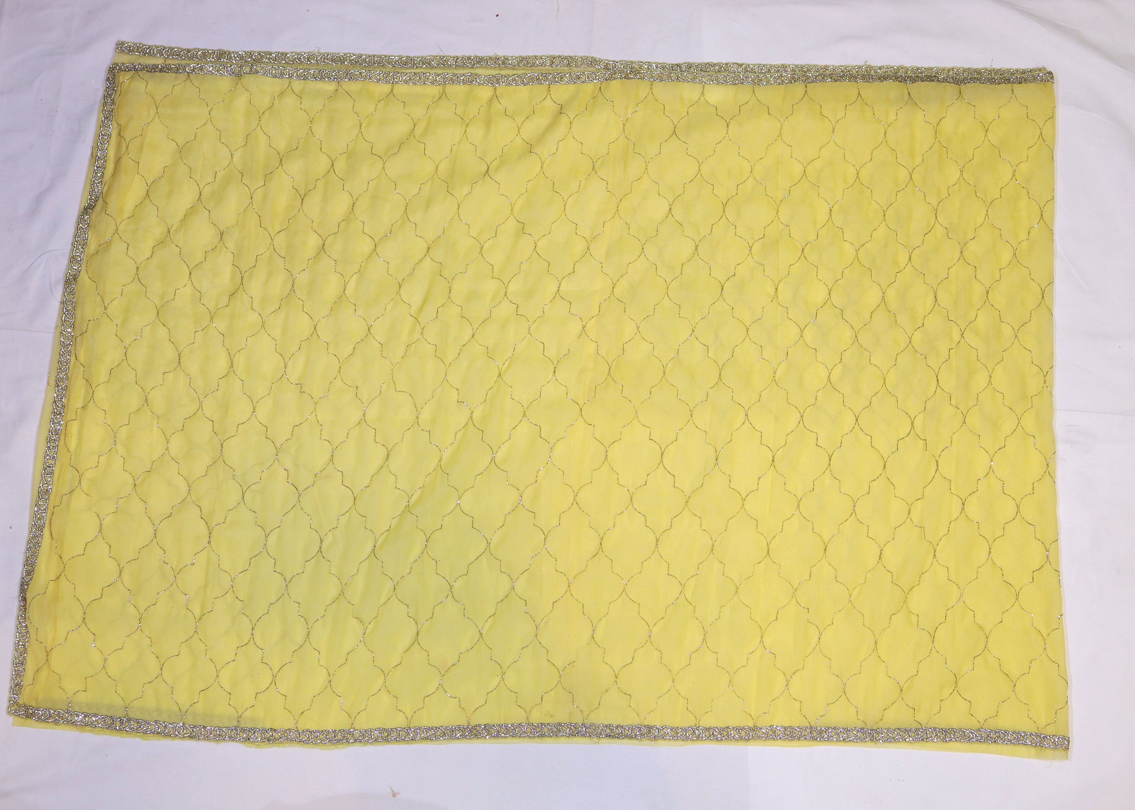 Organza Saree with Cut Bead Work