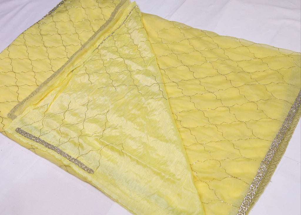 Organza Saree with Cut Bead Work