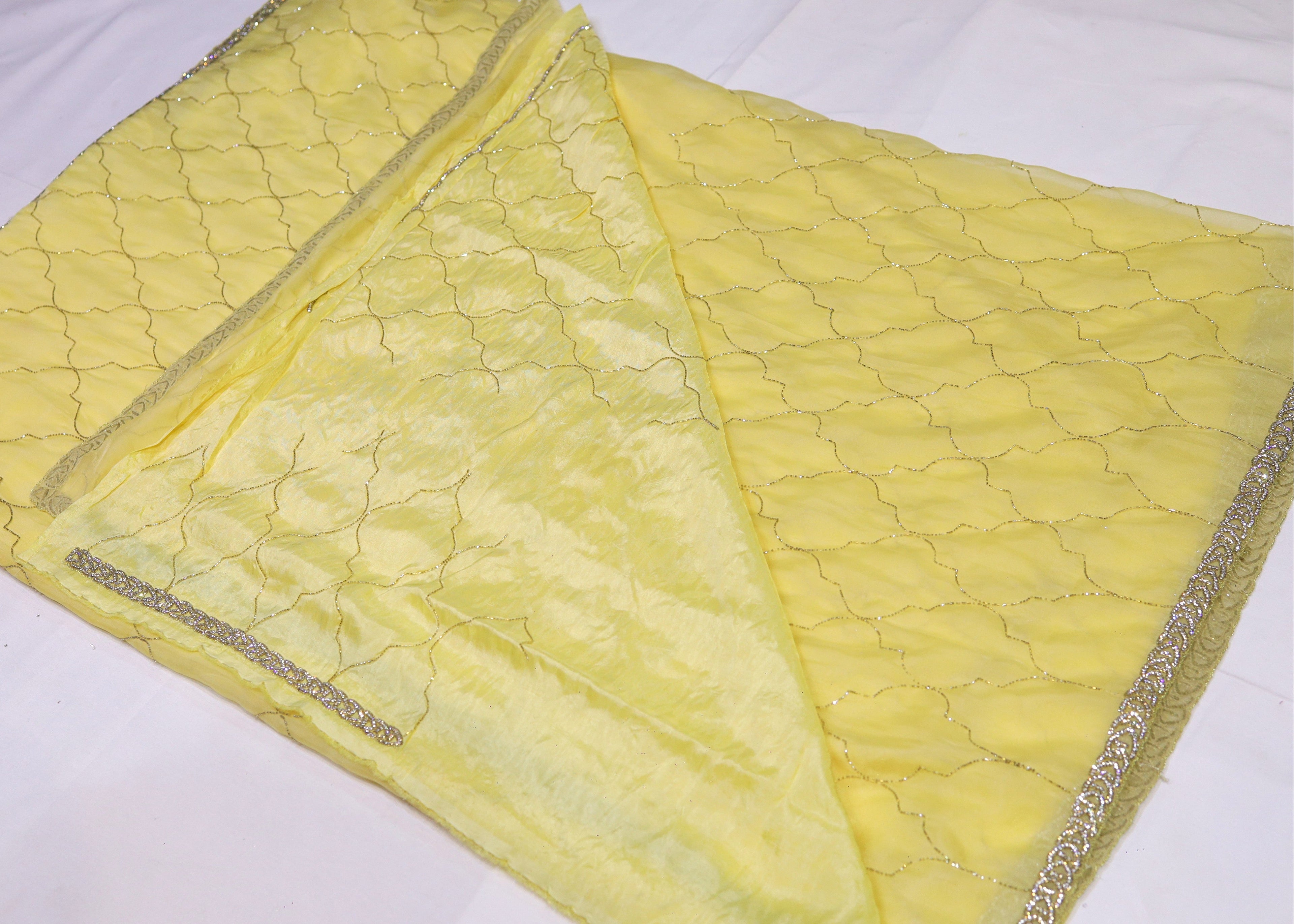 Organza Saree with Cut Bead Work