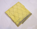 Organza Saree with Cut Bead Work