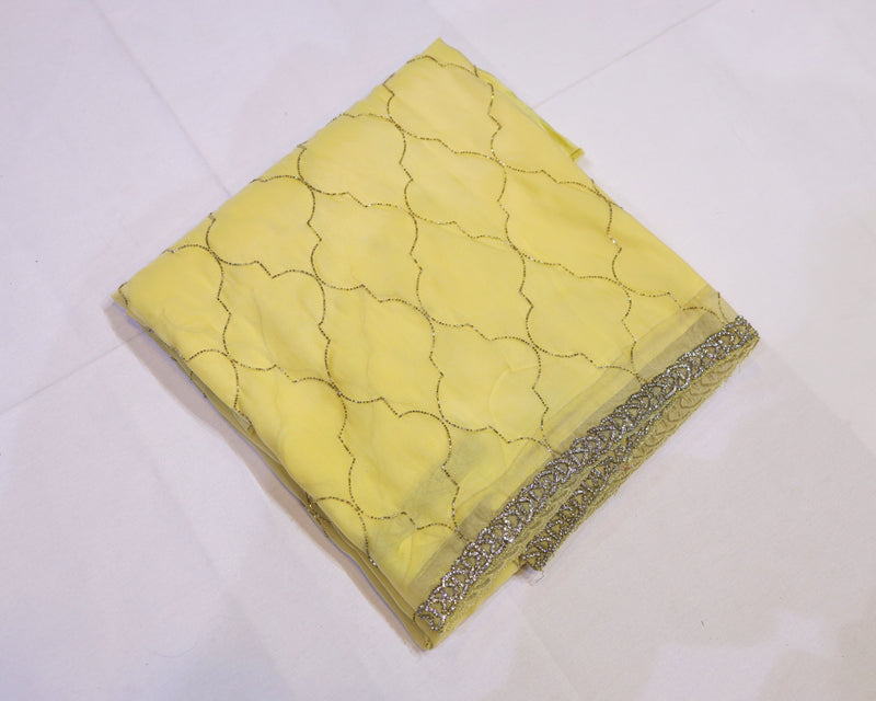 Organza Saree with Cut Bead Work