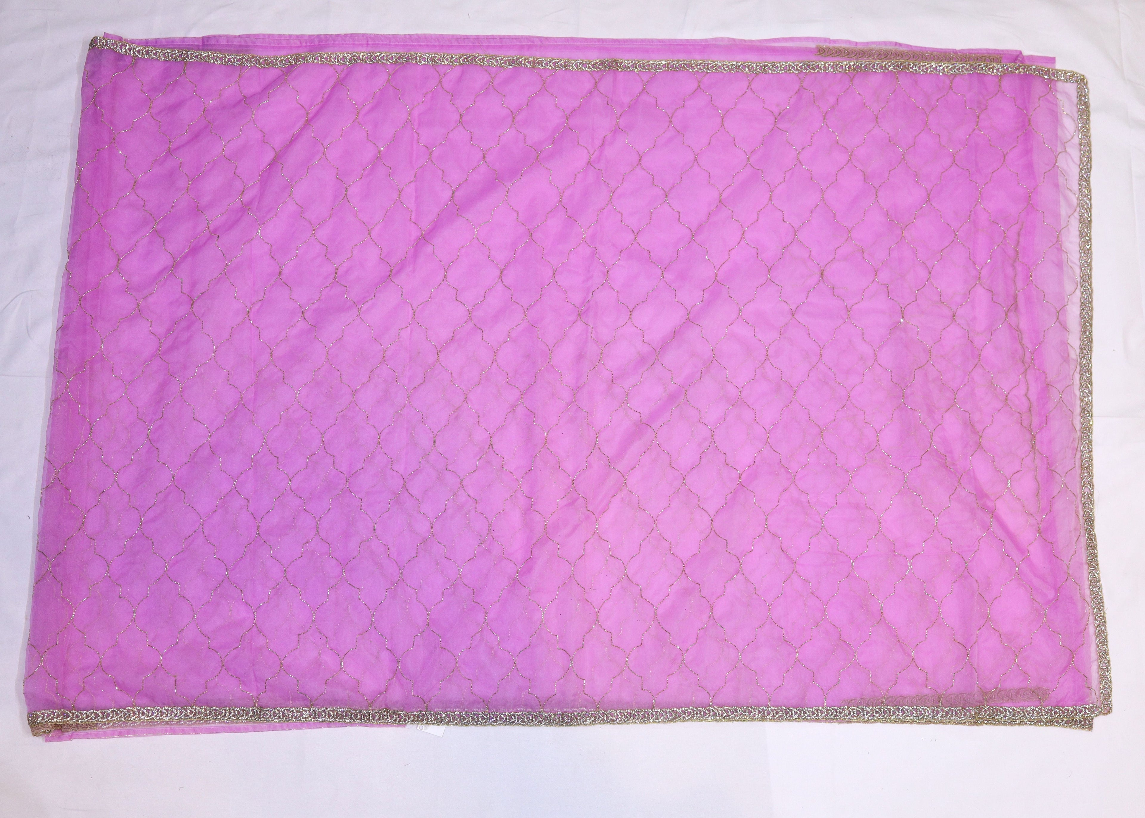 Organza Saree with Cut Bead Work