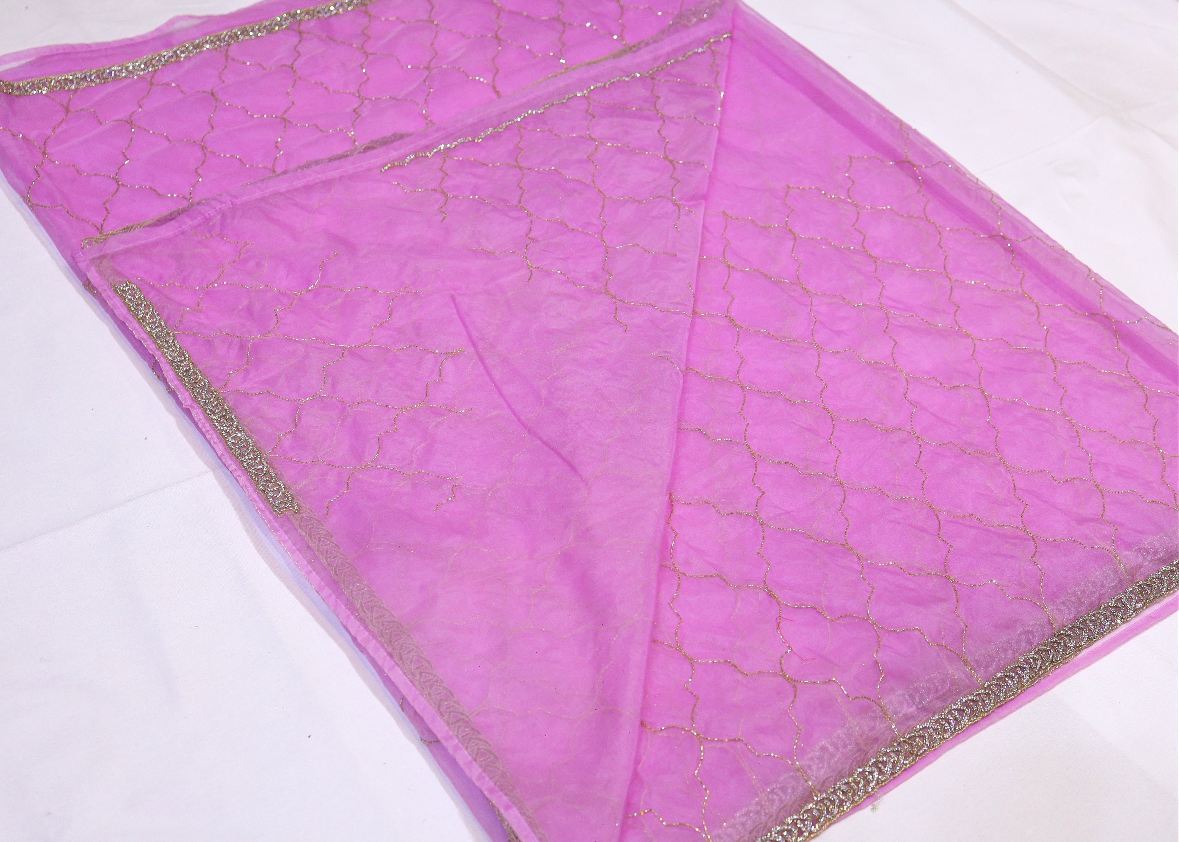 Organza Saree with Cut Bead Work