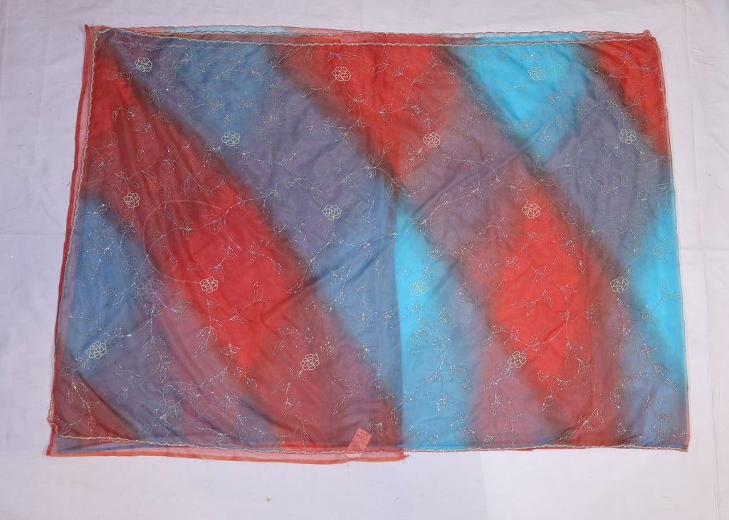 Organza Saree with Double Shade and Detailed Handwork