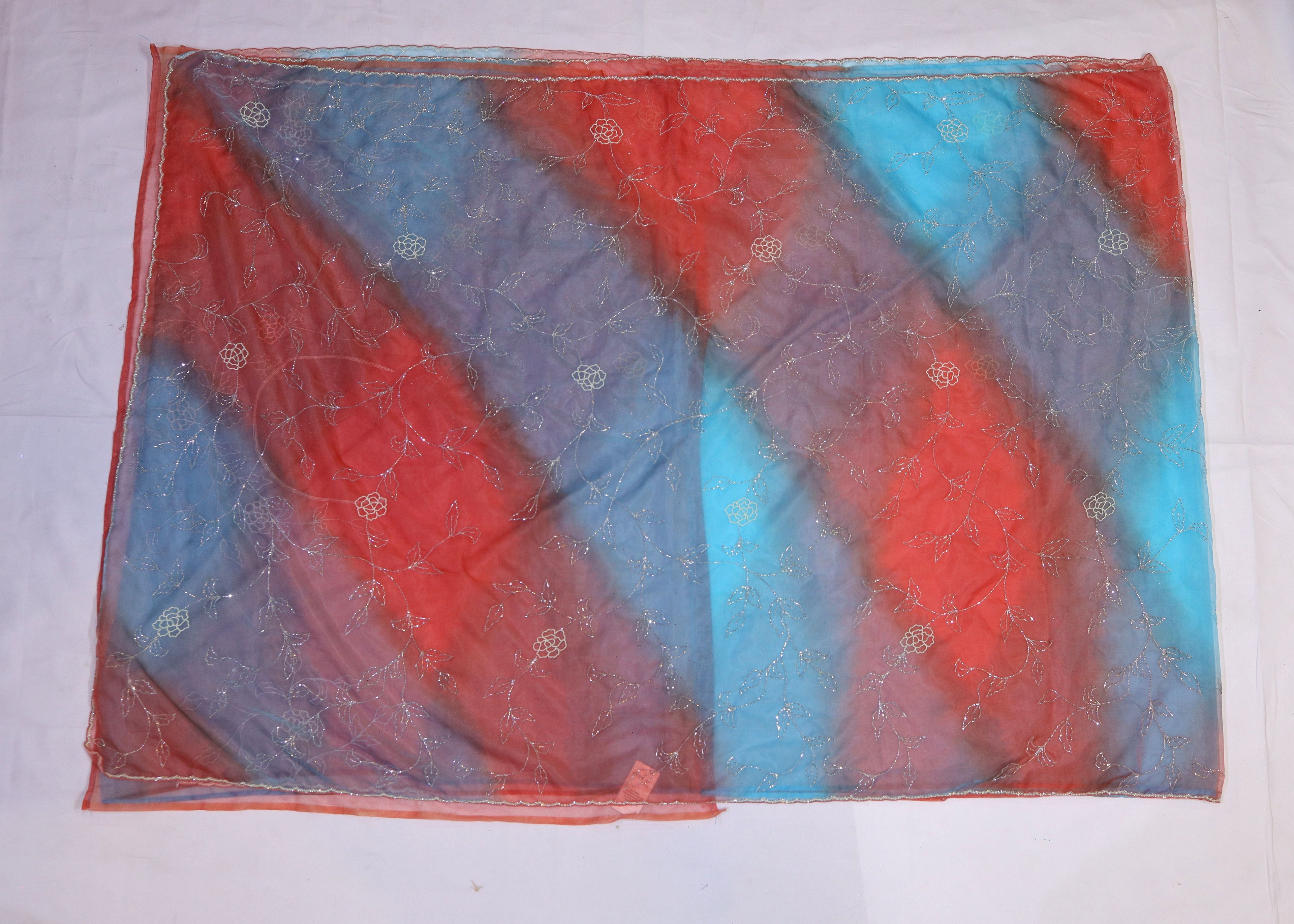 Organza Saree with Double Shade and Detailed Handwork