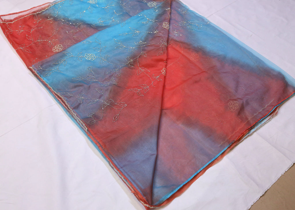 Organza Saree with Double Shade and Detailed Handwork