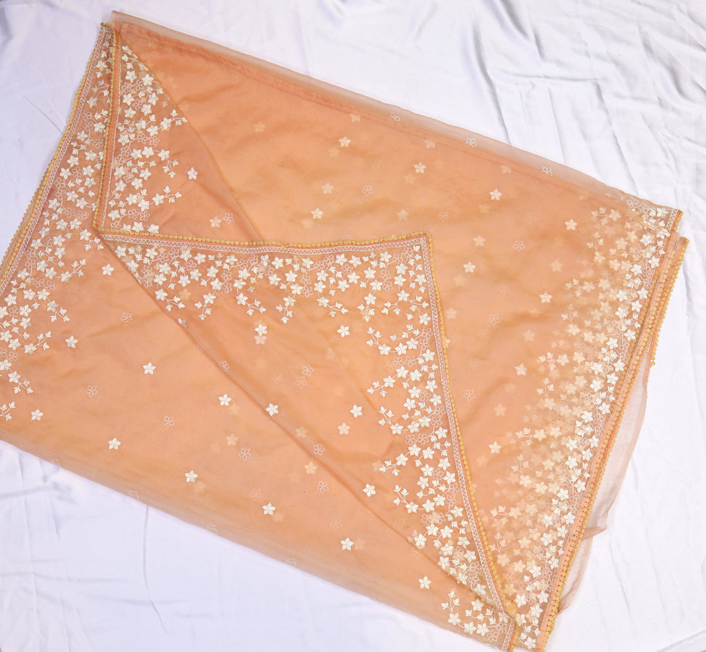 Organza Embroidery Saree