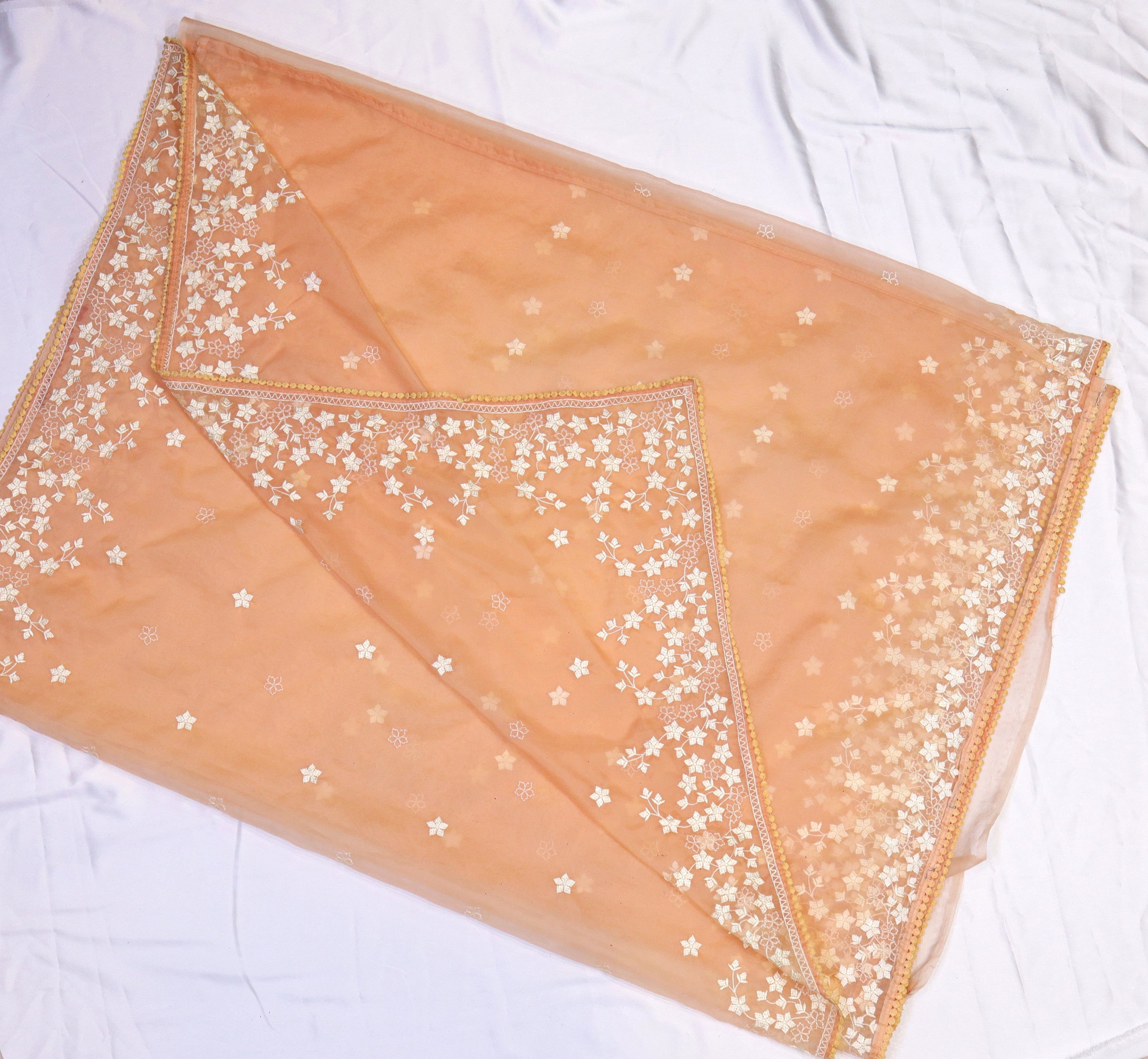 Organza Embroidery Saree