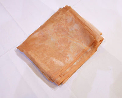 Crushed Organza Saree with Tone-on-Tone Floral Weave - Studio Ribbons