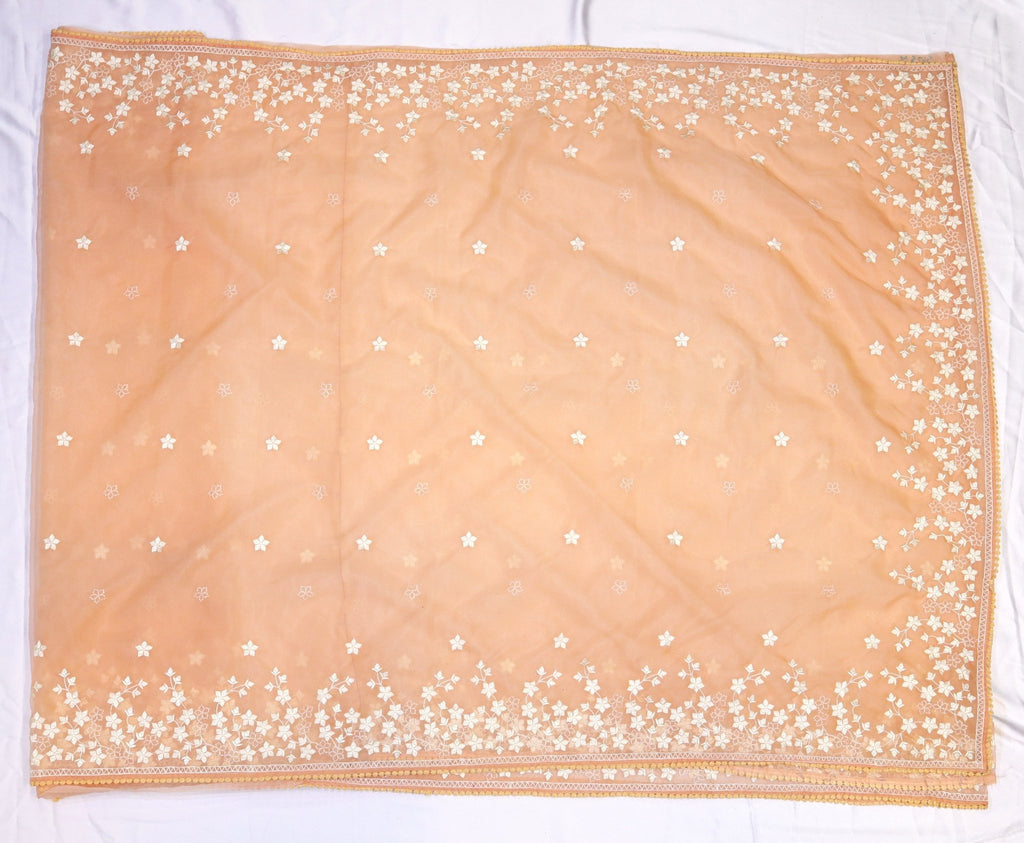 Organza Embroidery Saree - Studio Ribbons