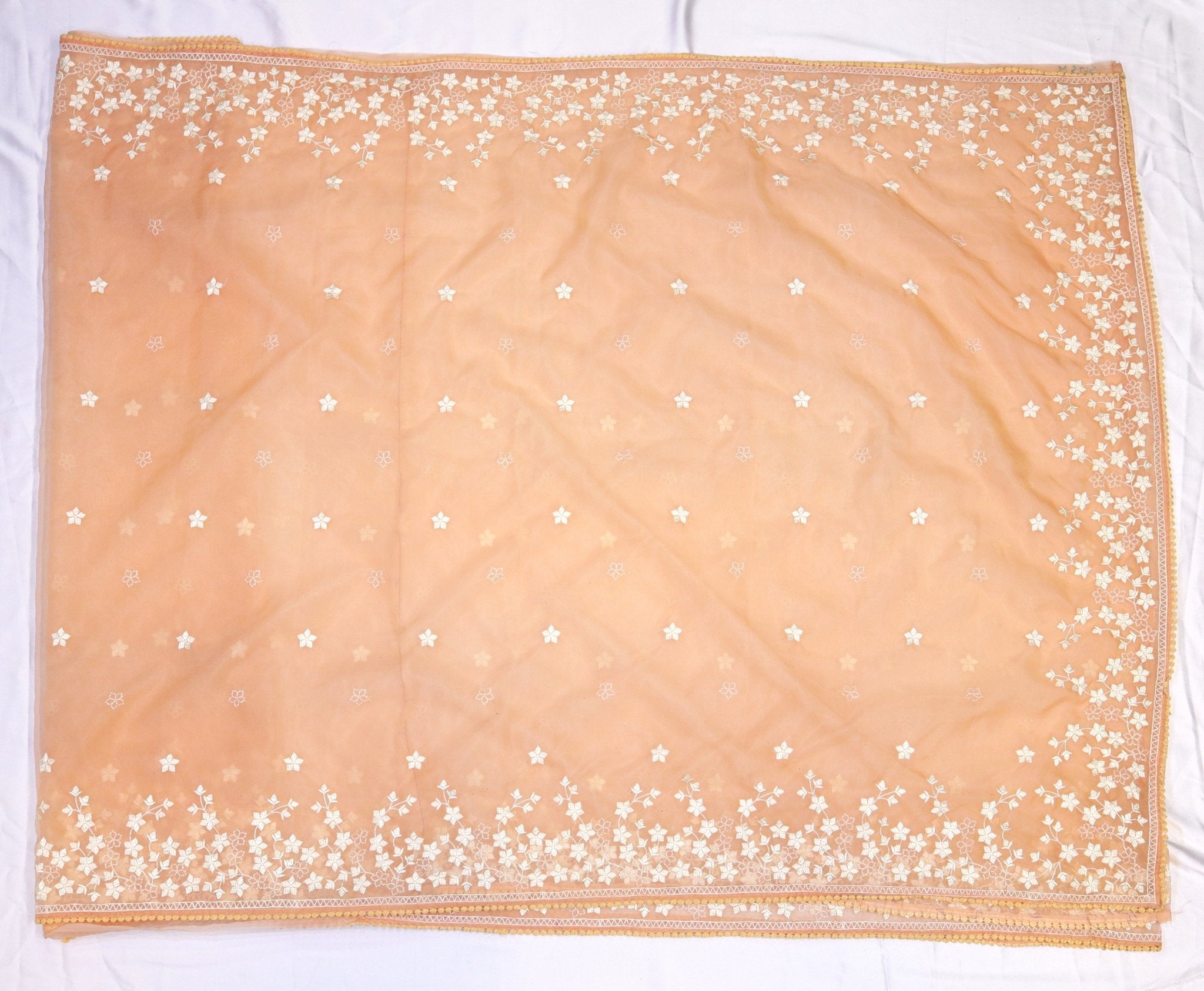 Organza Embroidery Saree - Studio Ribbons